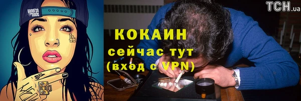 гидра Армянск