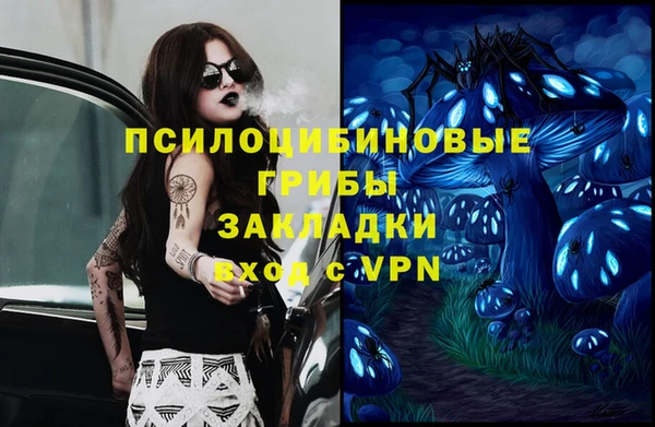 гидра Армянск