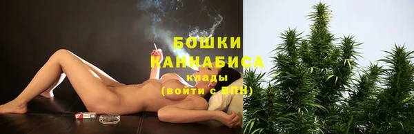 сатива Аркадак