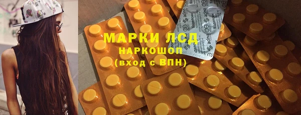 сатива Аркадак