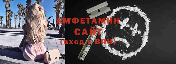 сатива Аркадак